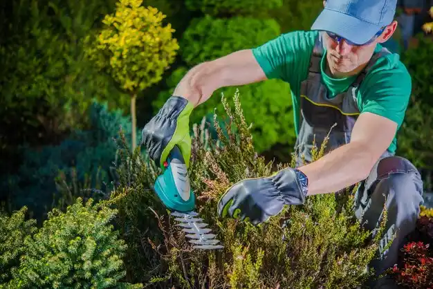 landscaping services Parkway Village